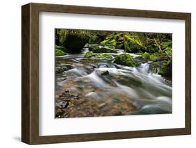 Forest brook, Schiessendumpel, Mullerthal, Luxembourg, Europe-Hans-Peter Merten-Framed Photographic Print