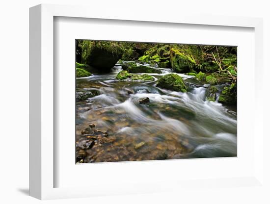 Forest brook, Schiessendumpel, Mullerthal, Luxembourg, Europe-Hans-Peter Merten-Framed Photographic Print