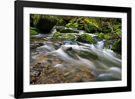 Forest brook, Schiessendumpel, Mullerthal, Luxembourg, Europe-Hans-Peter Merten-Framed Photographic Print