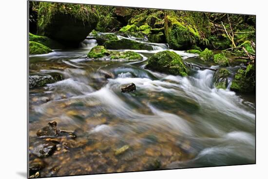 Forest brook, Schiessendumpel, Mullerthal, Luxembourg, Europe-Hans-Peter Merten-Mounted Photographic Print