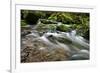 Forest brook, Schiessendumpel, Mullerthal, Luxembourg, Europe-Hans-Peter Merten-Framed Photographic Print