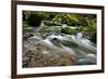 Forest brook, Schiessendumpel, Mullerthal, Luxembourg, Europe-Hans-Peter Merten-Framed Photographic Print