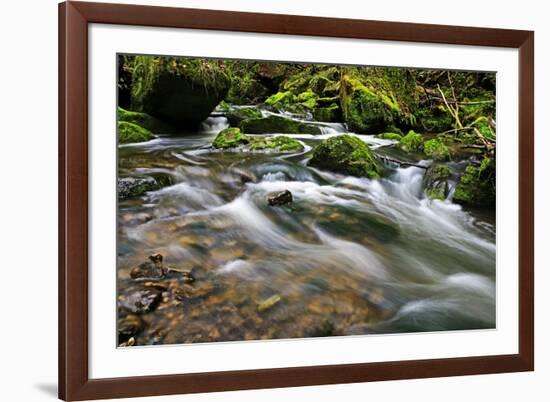 Forest brook, Schiessendumpel, Mullerthal, Luxembourg, Europe-Hans-Peter Merten-Framed Photographic Print