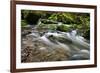 Forest brook, Schiessendumpel, Mullerthal, Luxembourg, Europe-Hans-Peter Merten-Framed Photographic Print