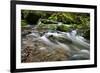 Forest brook, Schiessendumpel, Mullerthal, Luxembourg, Europe-Hans-Peter Merten-Framed Photographic Print