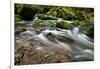 Forest brook, Schiessendumpel, Mullerthal, Luxembourg, Europe-Hans-Peter Merten-Framed Photographic Print