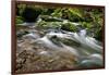 Forest brook, Schiessendumpel, Mullerthal, Luxembourg, Europe-Hans-Peter Merten-Framed Photographic Print