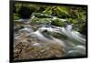 Forest brook, Schiessendumpel, Mullerthal, Luxembourg, Europe-Hans-Peter Merten-Framed Photographic Print