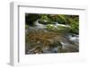 Forest brook, Schiessendumpel, Mullerthal, Luxembourg, Europe-Hans-Peter Merten-Framed Photographic Print