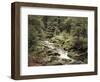 Forest, Brook, Summer-Thonig-Framed Photographic Print