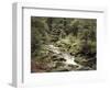 Forest, Brook, Summer-Thonig-Framed Photographic Print