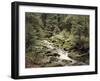 Forest, Brook, Summer-Thonig-Framed Photographic Print