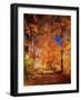 Forest, Brook, Summer-Thonig-Framed Photographic Print