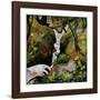 Forest Brook-Auguste Macke-Framed Giclee Print