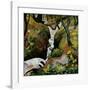 Forest Brook-Auguste Macke-Framed Giclee Print