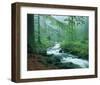 Forest Brook-null-Framed Art Print