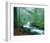 Forest Brook-null-Framed Art Print