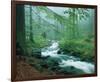 Forest Brook-null-Framed Art Print