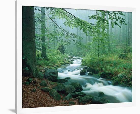 Forest Brook-null-Framed Art Print