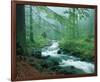 Forest Brook-null-Framed Art Print