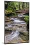 Forest Cascade-KennethKeifer-Mounted Photographic Print