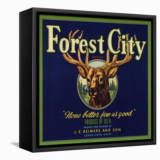 Forest City Brand - Lemon Cove, California - Citrus Crate Label-Lantern Press-Framed Stretched Canvas