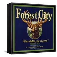 Forest City Brand - Lemon Cove, California - Citrus Crate Label-Lantern Press-Framed Stretched Canvas