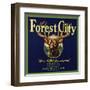 Forest City Brand - Lemon Cove, California - Citrus Crate Label-Lantern Press-Framed Art Print