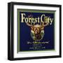 Forest City Brand - Lemon Cove, California - Citrus Crate Label-Lantern Press-Framed Art Print