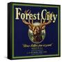 Forest City Brand - Lemon Cove, California - Citrus Crate Label-Lantern Press-Framed Stretched Canvas