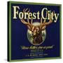 Forest City Brand - Lemon Cove, California - Citrus Crate Label-Lantern Press-Stretched Canvas