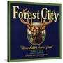 Forest City Brand - Lemon Cove, California - Citrus Crate Label-Lantern Press-Stretched Canvas