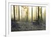 Forest Clearing-Andreas Stridsberg-Framed Giclee Print