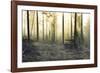 Forest Clearing-Andreas Stridsberg-Framed Giclee Print