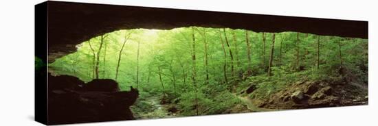 Forest, Cobb Cave, Lost Valley, Ozarks, Arkansas, USA-null-Stretched Canvas