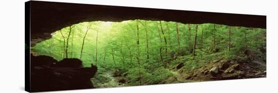 Forest, Cobb Cave, Lost Valley, Ozarks, Arkansas, USA-null-Stretched Canvas