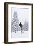 Forest, Conifers, Wooden Cross, Snow-Covered-Dietmar Walser-Framed Photographic Print