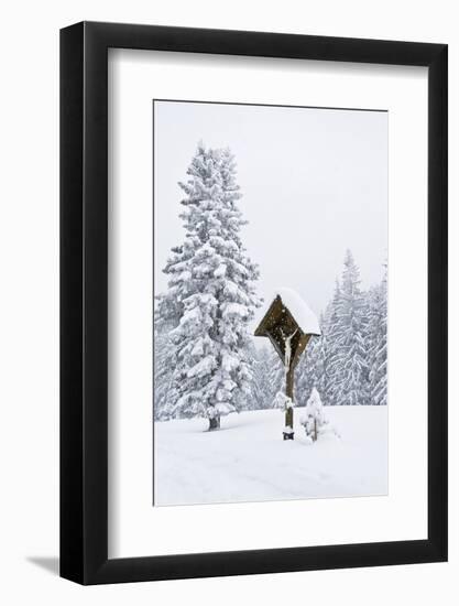 Forest, Conifers, Wooden Cross, Snow-Covered-Dietmar Walser-Framed Photographic Print