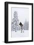 Forest, Conifers, Wooden Cross, Snow-Covered-Dietmar Walser-Framed Photographic Print