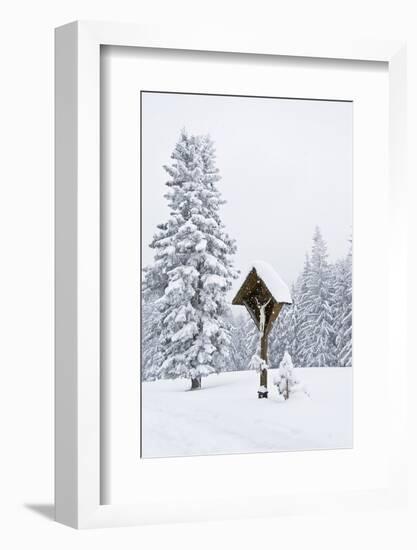 Forest, Conifers, Wooden Cross, Snow-Covered-Dietmar Walser-Framed Photographic Print