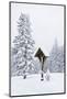 Forest, Conifers, Wooden Cross, Snow-Covered-Dietmar Walser-Mounted Photographic Print