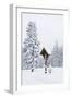 Forest, Conifers, Wooden Cross, Snow-Covered-Dietmar Walser-Framed Photographic Print