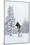 Forest, Conifers, Wooden Cross, Snow-Covered-Dietmar Walser-Mounted Photographic Print