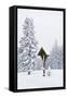 Forest, Conifers, Wooden Cross, Snow-Covered-Dietmar Walser-Framed Stretched Canvas