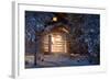 Forest Cottage-WildCat78-Framed Photographic Print