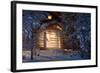 Forest Cottage-WildCat78-Framed Photographic Print