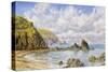 Forest Cove, Cardigan Bay, 1883 (Oil on Canvas)-John Brett-Stretched Canvas