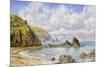 Forest Cove, Cardigan Bay, 1883 (Oil on Canvas)-John Brett-Mounted Giclee Print