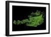 Forest Cover Of Austria-Grasshopper Geography-Framed Giclee Print