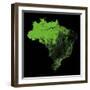 Forest Cover Of Brazil-Grasshopper Geography-Framed Giclee Print